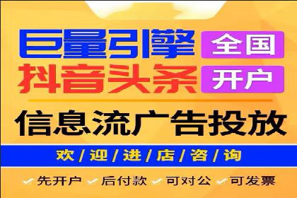 抖音信息流代理在电商行业的应用案例分析
